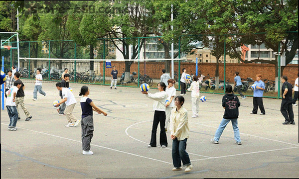 数据审核流程图：原始数据进入本地分析组，经十二名专职成员核对后在平均三十分钟内发布